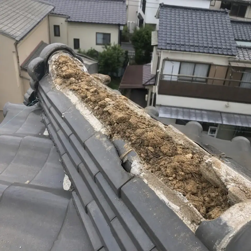 白いかけらが落ちている
