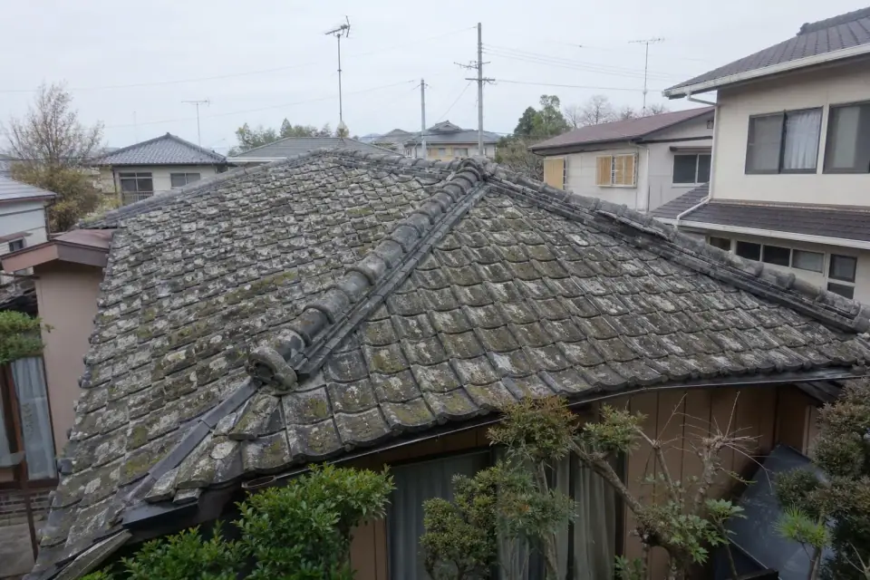 現場の写真 1